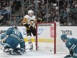 Penguins Sharks Hockey