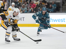 Penguins Sharks Hockey