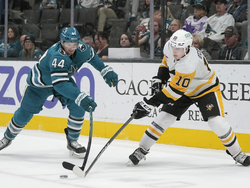 Penguins Sharks Hockey