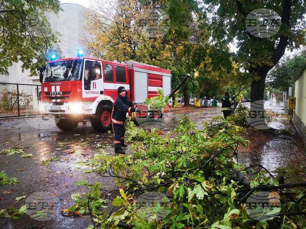 Екипи на пожарната в област Търговище са реагирали на над 20 сигнала за съдействие за преодоляване щетите от бурята вчера