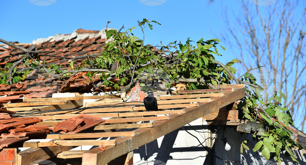 Село Лъвино - бедствено положение - доброволци