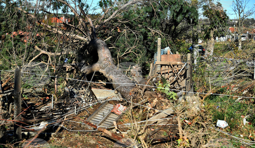 Село Лъвино - бедствено положение - доброволци