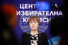 ЦИК - брифинг