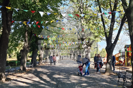 Видин - слънчево време