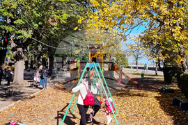 Видин - слънчево време