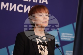 ЦИК - брифинг