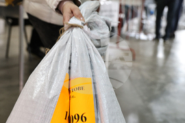 Пловдив - местни избори 2023 - край на изборния ден - отчитане на бюлетини