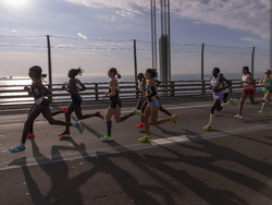 NYC Marathon