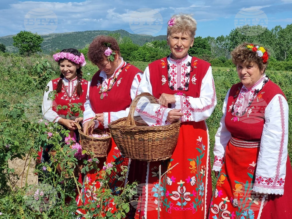 Започнаха ритуалите "Розобер" и "Розоварене" в Казанлък