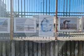 Бургас - изложба - „Цветовете на Бургас“