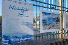 Бургас - изложба - „Цветовете на Бургас“