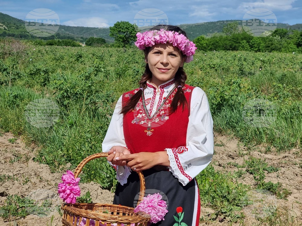 Село Розово - Розобер - ритуал