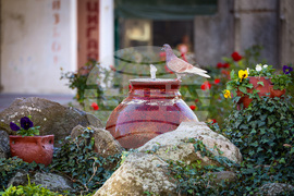 Айтос - ежедневие