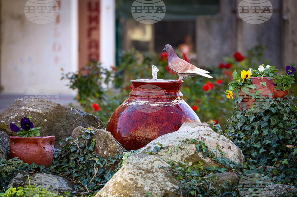 Айтос - ежедневие