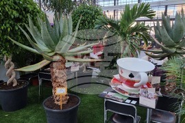 Румъния - изложение за хотелиерство и ресторантьорство - Foodservice&Hospitality Expo