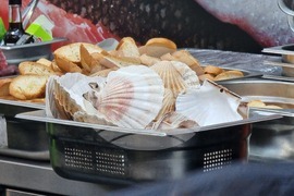 Румъния - изложение за хотелиерство и ресторантьорство - Foodservice&Hospitality Expo