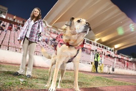 Футбол - ЦСКА София - Хебър