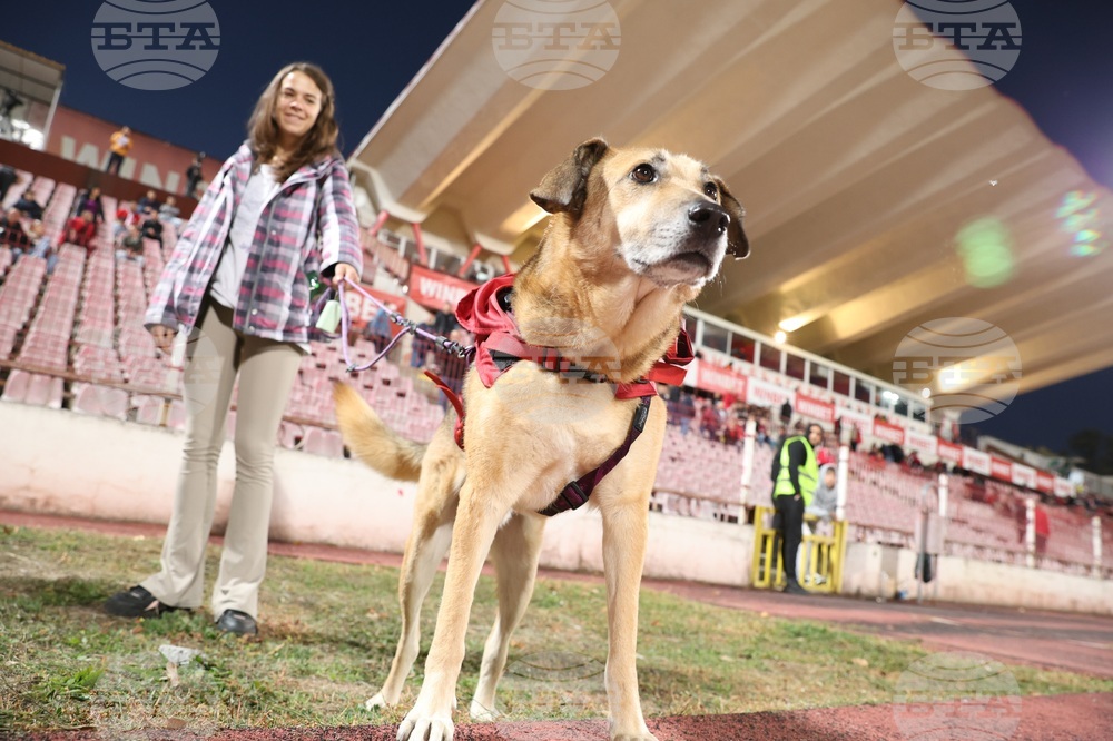 Футбол - ЦСКА София - Хебър