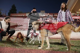 Футбол - ЦСКА София - Хебър