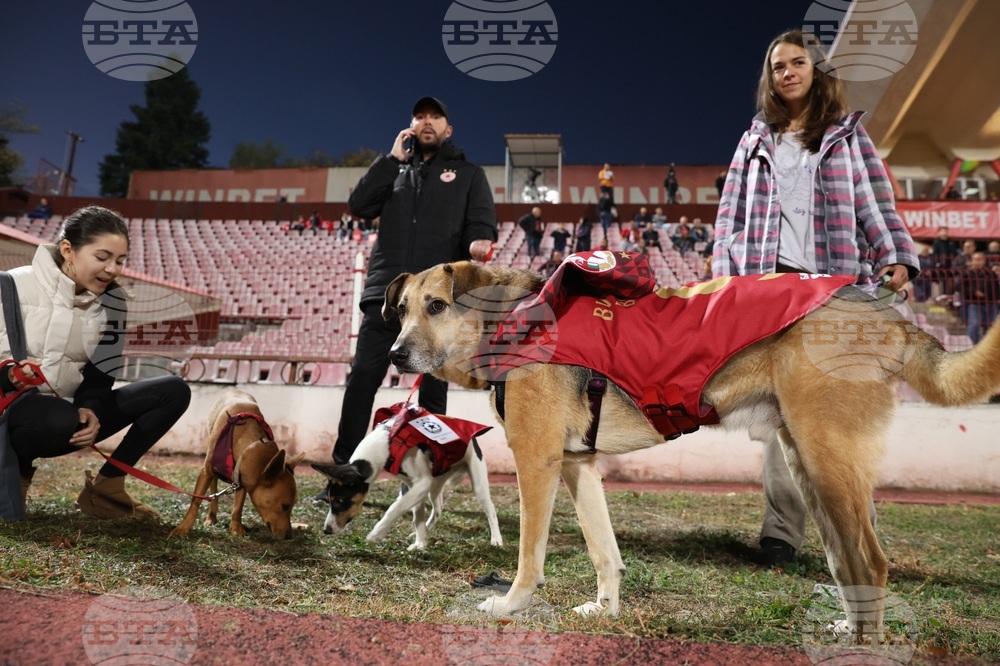 Футбол - ЦСКА София - Хебър