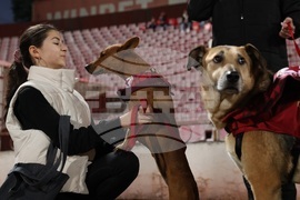 Футбол - ЦСКА София - Хебър