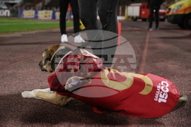 Футбол - ЦСКА София - Хебър