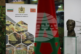 Пловдив - изложба - "Мароко - вдъхновение в цветове"