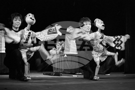 Варна - Международен фестивал на кукления театър "Златният делфин"