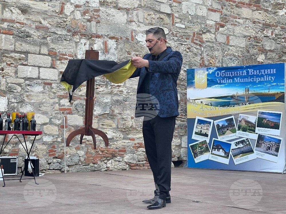Видин - Vida Art 2022 - фестивал