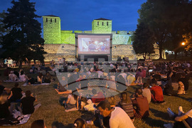 Видин - Vida Art 2022 - фестивал