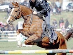 Снимка: МВР