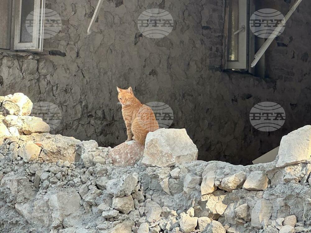 Turkiye - Antakya - Hatay Province - Reconstruction after the earthquakes