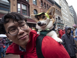 Canada Corgi Parade