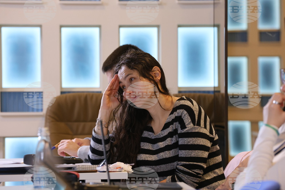 БТА - Европейски парламент - програма - млади журналисти – обучение - Ролята на медиите