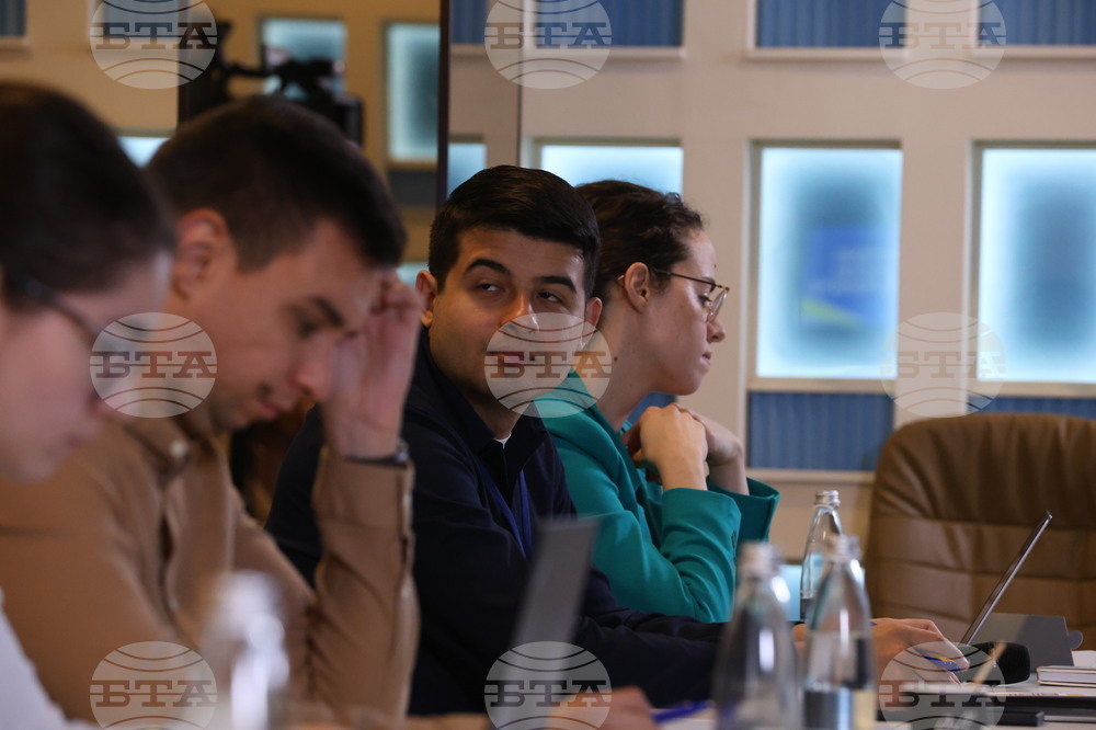 БТА - Европейски парламент - програма - млади журналисти – обучение - Ролята на медиите