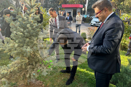 Turkiye - National Tree Planting Day - Kiril Valchev - Serdar Karagoz