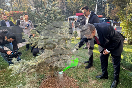 Turkiye - National Tree Planting Day - Kiril Valchev -Serdar Karagoz