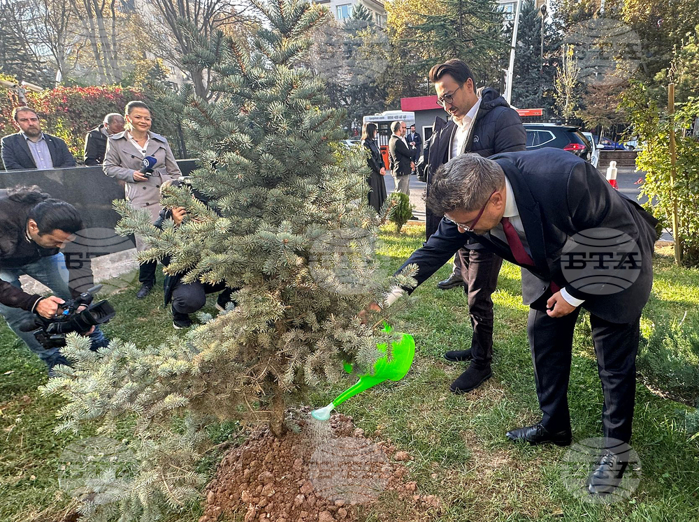 Turkiye - National Tree Planting Day - Kiril Valchev -Serdar Karagoz