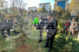 Turkiye - National Tree Planting Day - Kiril Valchev - Serdar Karagoz