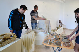 Исперих - палеонтоложко изложение