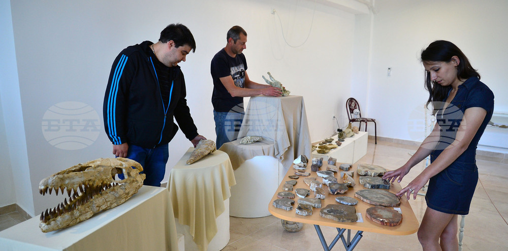 Исперих - палеонтоложко изложение