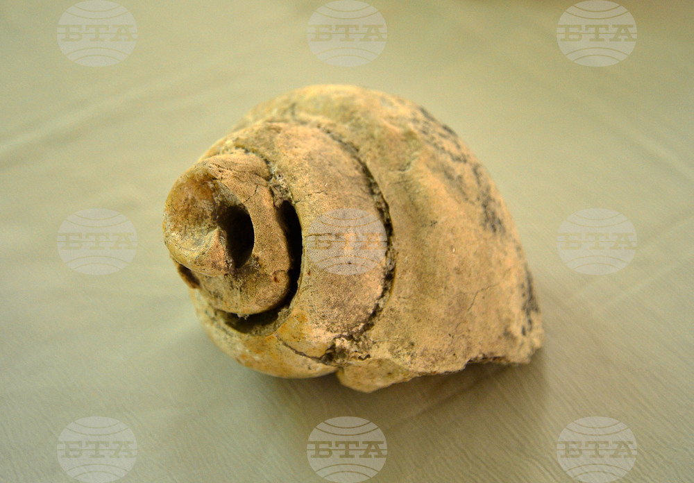 Исперих - палеонтоложко изложение