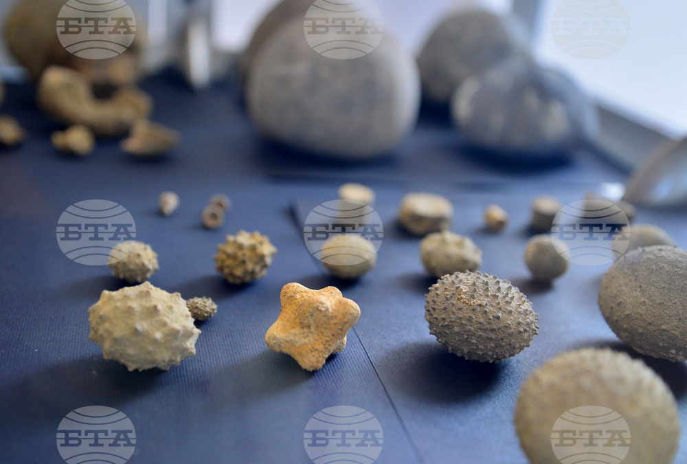 Исперих - палеонтоложко изложение