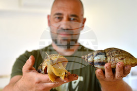 Исперих - палеонтоложко изложение