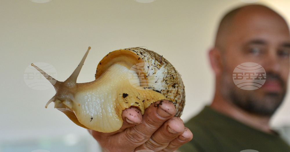 Исперих - палеонтоложко изложение