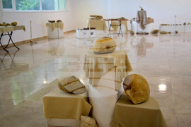 Исперих - палеонтоложко изложение