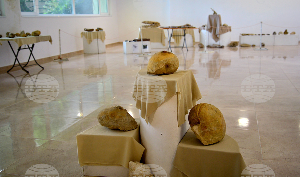 Исперих - палеонтоложко изложение