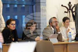 БТА - Европейски парламент - програма - млади журналисти - обучение - Значимостта на демократичните процеси и участието - доц. Ралица Ковачева