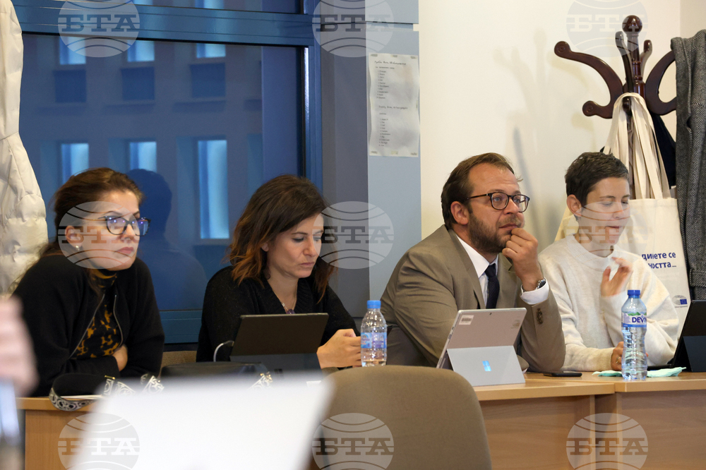 БТА - Европейски парламент - програма - млади журналисти - обучение - Значимостта на демократичните процеси и участието - доц. Ралица Ковачева