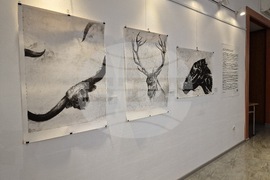 Сандански - „Срещи от десети вид“ изложба